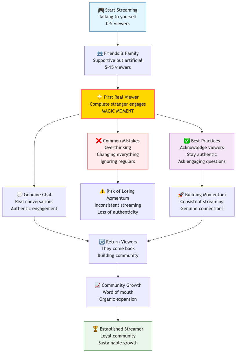Streaming Journey Diagram