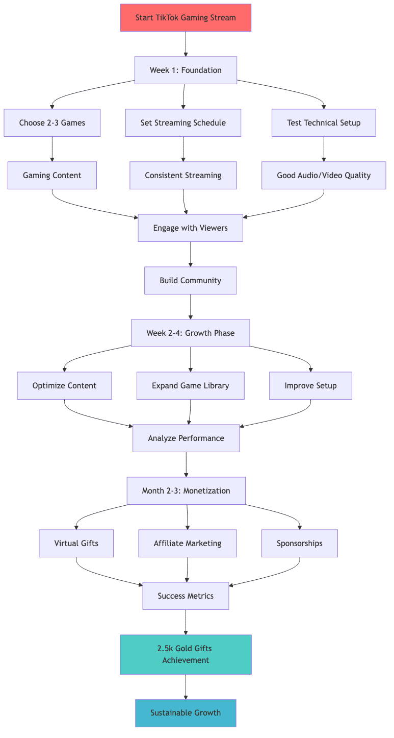 TikTok Gaming Success Journey