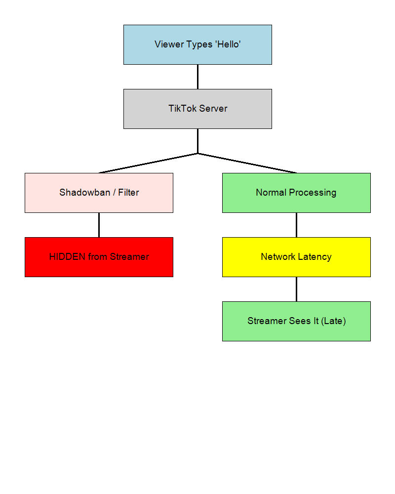 Diagram showing the path of a chat message from viewer to streamer, highlighting filters and latency